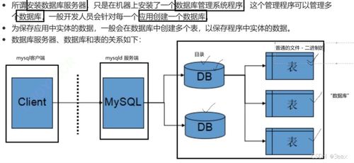 MySQL 數據處理與存儲支持服務 構建高效可靠的數據管理方案
